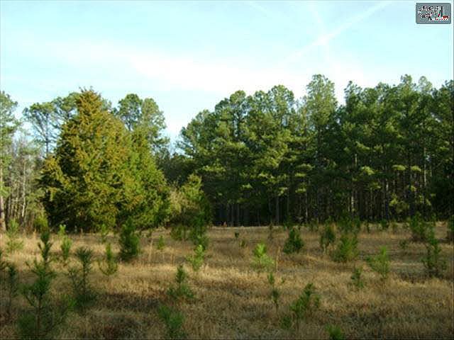 2nd image of 91 Wheeler Rd