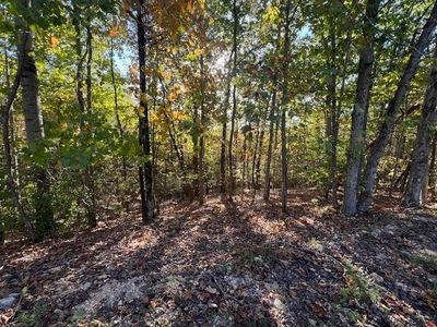44 James Ridge Rd Lot 44, Clifton, TN, 38425