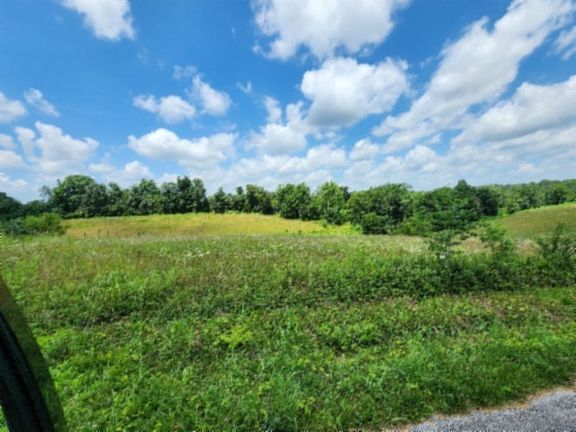 3rd image of 0 Rose Hill Rd #10