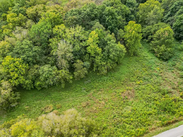 0 Joy Rd Lot 2, Mount Pleasant, TN 38474