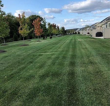 4th image of 2001 Connecticut Ln