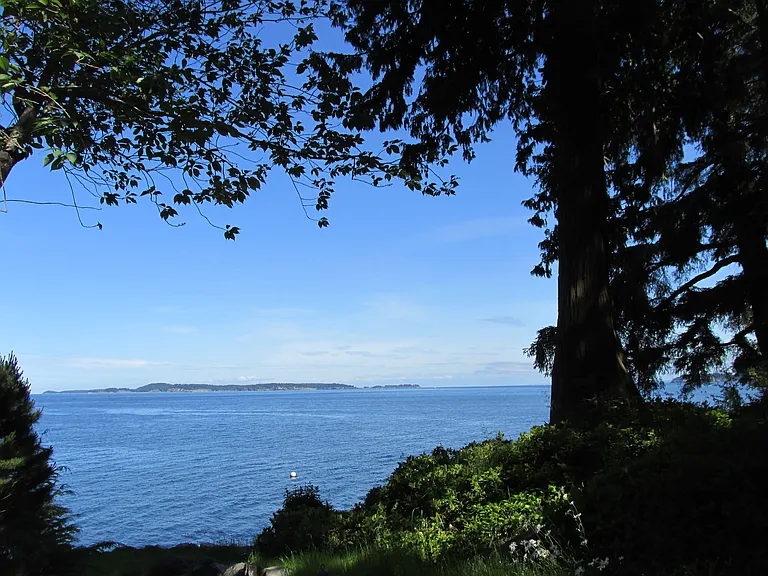 VIEW OF WATER FROM HOUSE