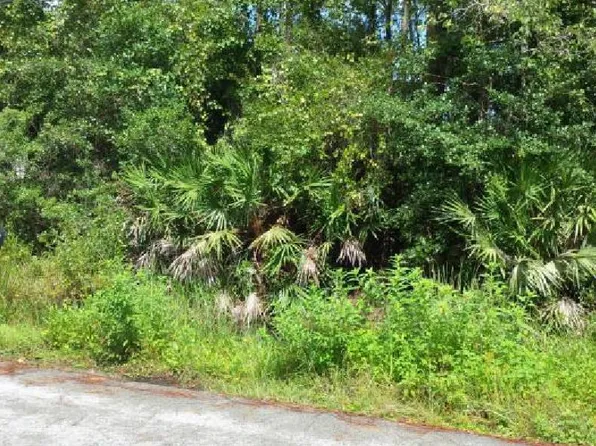 192 San Cristobal Ave E, East Palatka, FL 32131