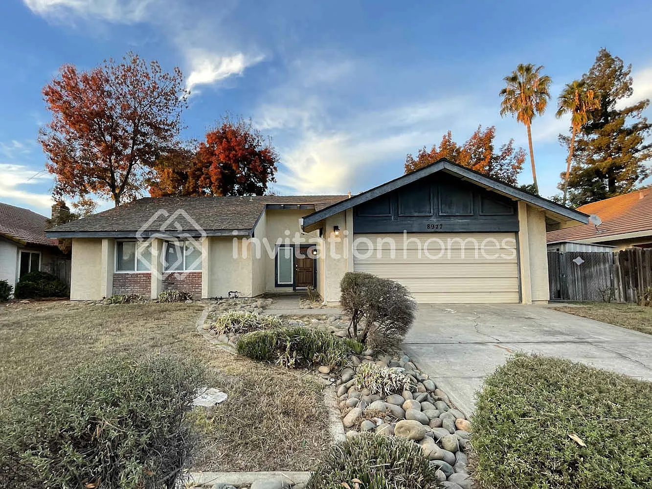 8977 Park Meadows Dr photo 1