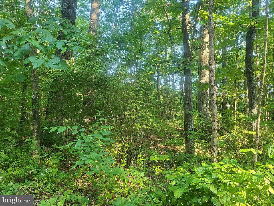 2nd image of Morosko Ln