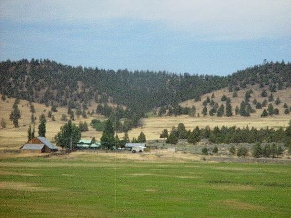 4th image of 32139 Highway 299