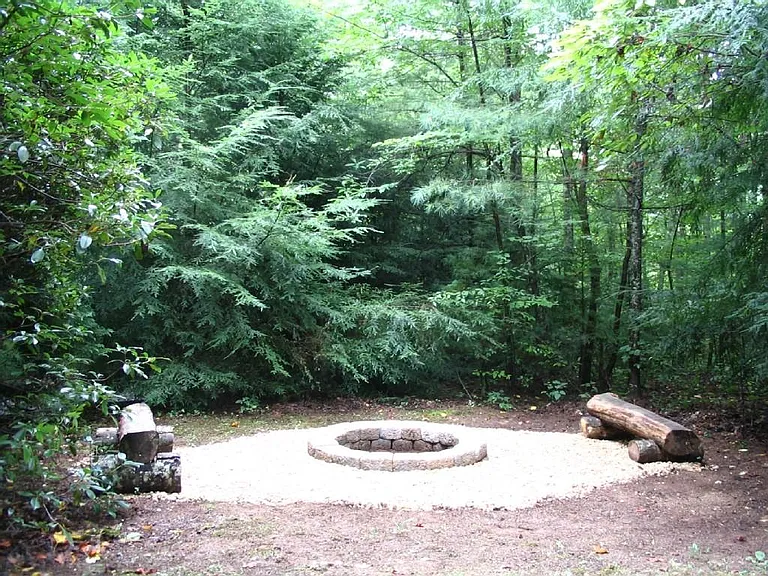 Camp Fire Circle in the Woods