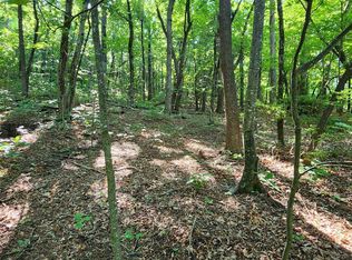 71 Serpentine Dr, Columbus, NC 28722