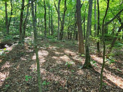 71 Serpentine Dr, Columbus, NC, 28722