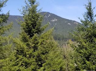 107 Jack Fir Ct W, Packwood, WA