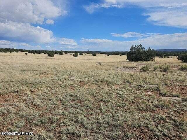 1st image of 55063 N Campana Cir