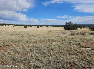55063 N Campana Cir, Seligman, AZ 86337