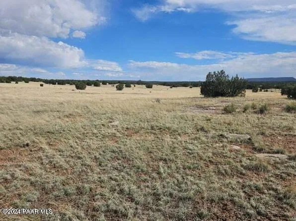 55063 N Campana Cir, Seligman, AZ 86337