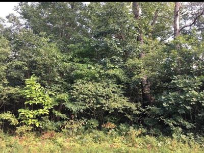 0-53 Pointer Ln, Wheatfield, IN, 46392