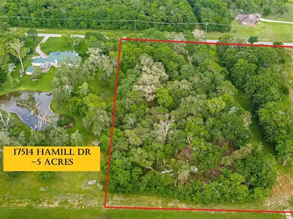17514 Hamill Dr, Rosharon, TX 77583