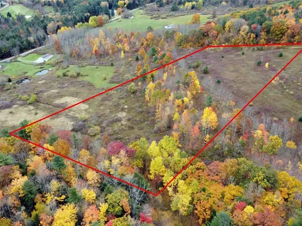 11.00 Hardknocks Rd, Unadilla, NY 13849