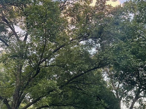 5th image of Tbd2 County Rd #131