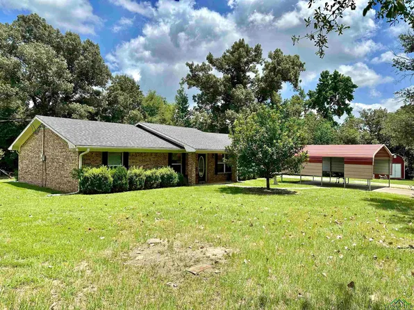 2231 Stag Rd, Winnsboro, TX 75494