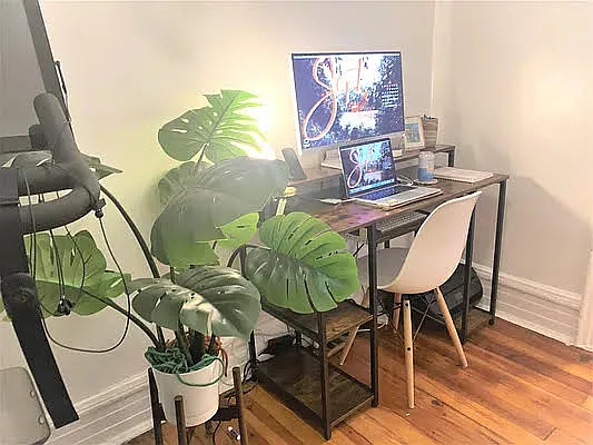 Rented by Virtual Real Estate | media 21