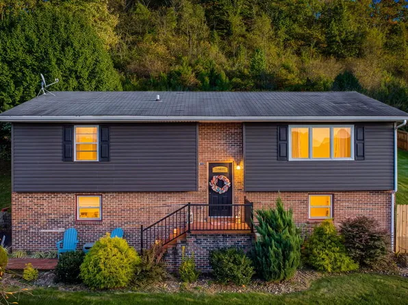 141 Trigg Dr, Lebanon, VA 24266