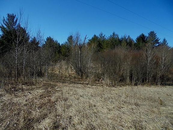 4th image of 00 Helmer Lake Road 59 Acres