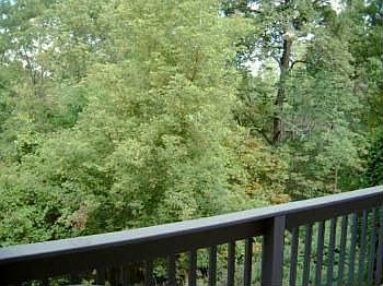 3rd image of 669 Woodcreek Cir