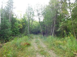 S Caribou Lake Rd, De Tour Village, MI 49725