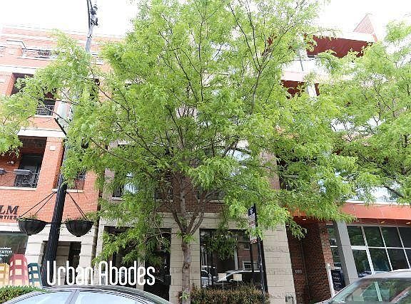 2nd image of 1724 W Belmont Ave #3UA