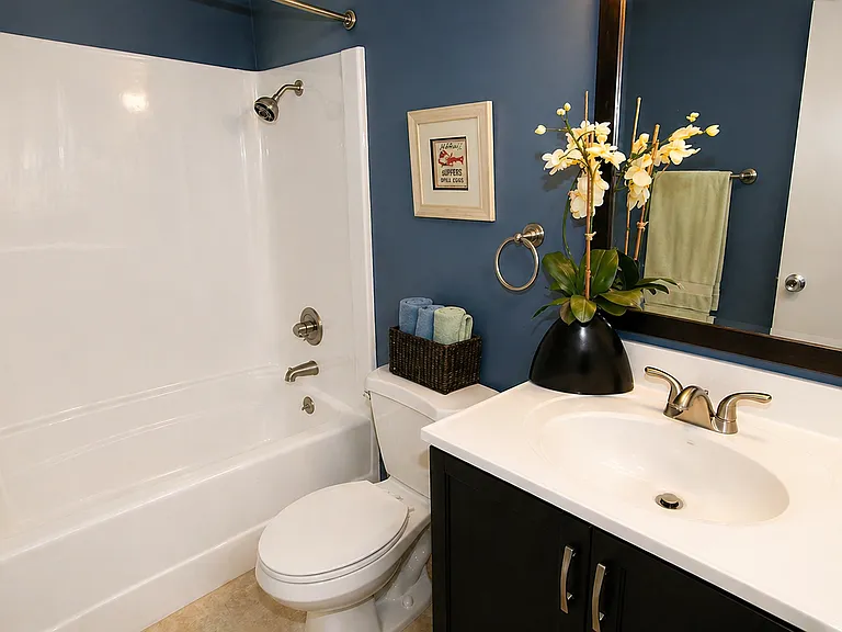 Bathroom, Tub & Shower
