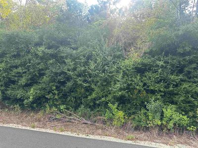 Hauser Rd, Deridder, LA, 70634