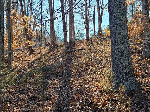 5th image of LOT 44 Cool Harbor Dr
