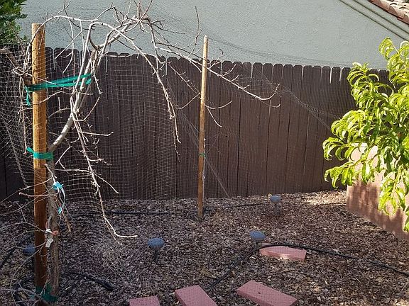 5th image of 1731 E Chennault Ave