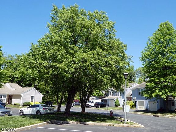 4th image of 100 Stonehedge Ct