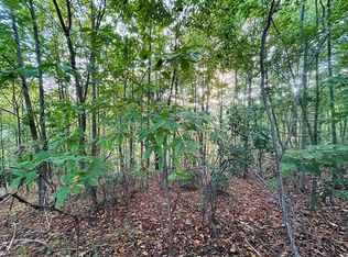 Morning Side Trl, Fancy Gap, VA 24328