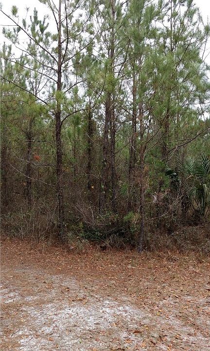 2nd image of Hallman Rd