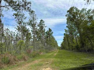 Blk M And M Ln, Walnut Hill, FL 32568