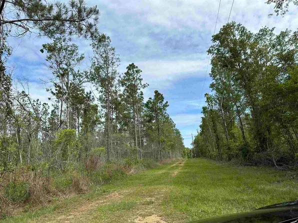 Blk M And M Ln, Walnut Hill, FL 32568