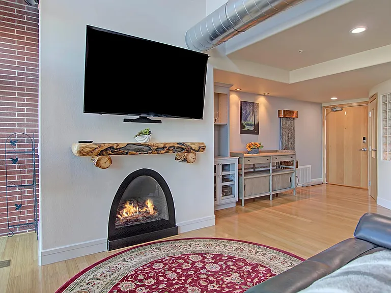 417 E Kiowa St #1204 — Photo 11
