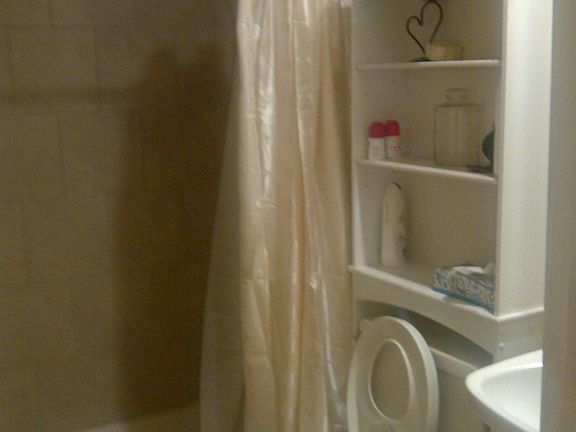 Newly updated bath/custom shower