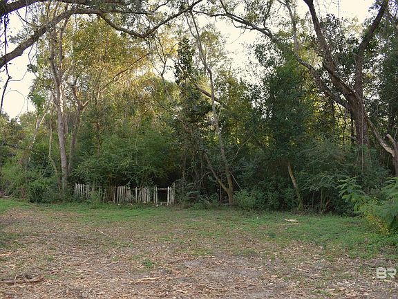 4th image of 0 Cotton Stocking Ln #B