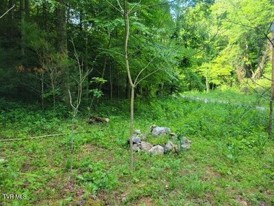 985 Copperhead Hollow Rd, Mountain City, TN, 37683