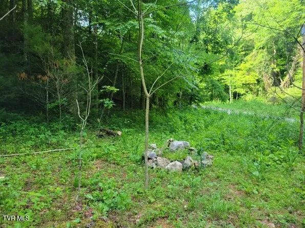 985 Copperhead Hollow Rd, Mountain City, TN 37683