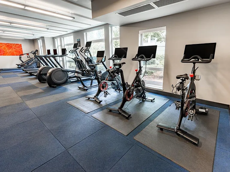 Atlas — Photo 10