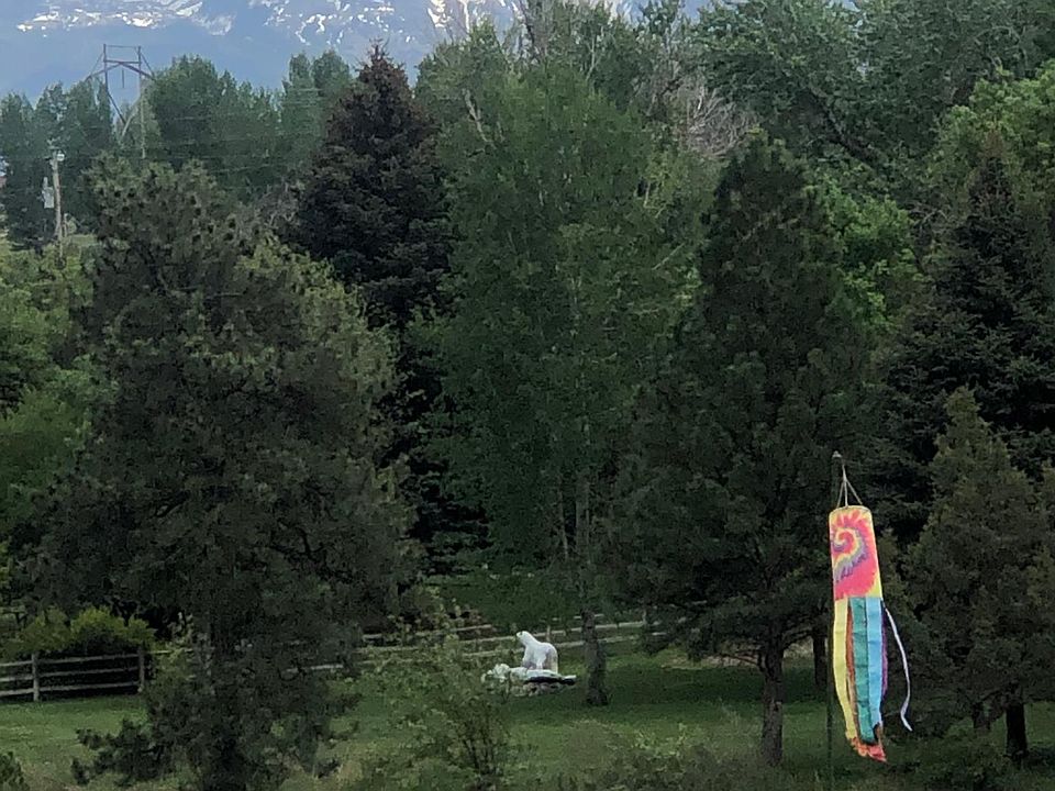 View from the front yard