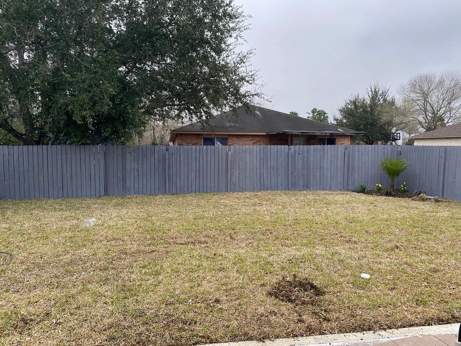 4003 Santa Fabiola St — Photo 2