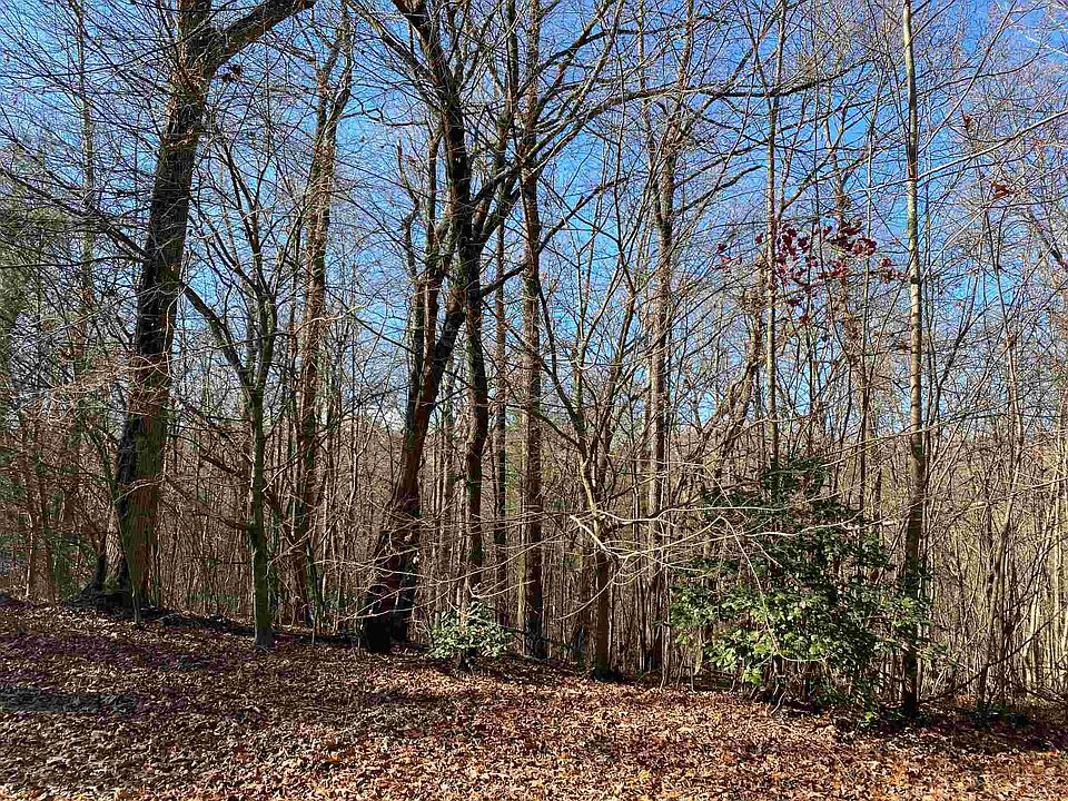 2nd image of 0 Toccoa Preserve Ln Lot 5