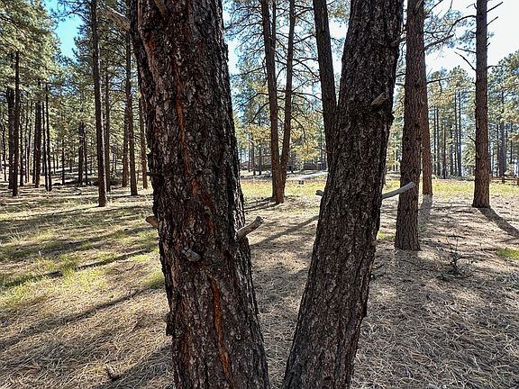 3rd image of 7549 E Long Bow Dr #71