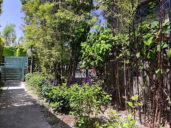 4th image of 638 Brooks Ave #B