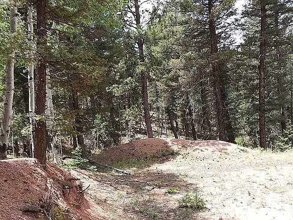 5th image of 71 Montana Cir
