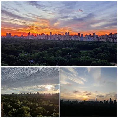 Rented by Corcoran | media 23